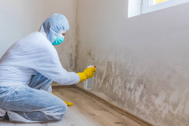 Bathroom Mold Removal assessment in Kenilworth bathroom